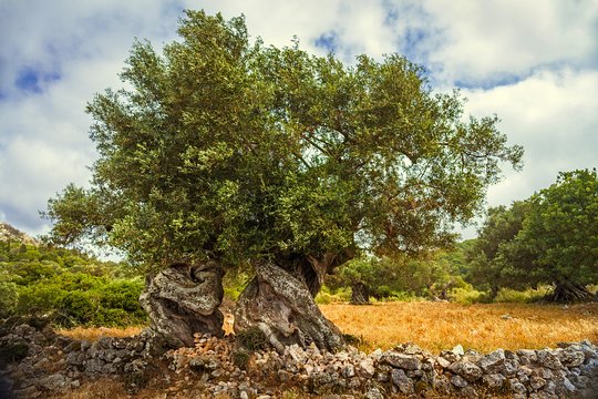 Tour image 6