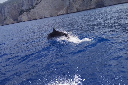 Tour image 5