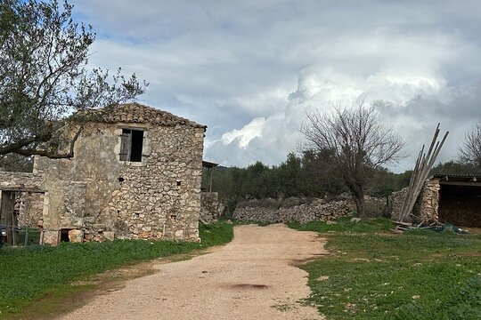 Tour image 7